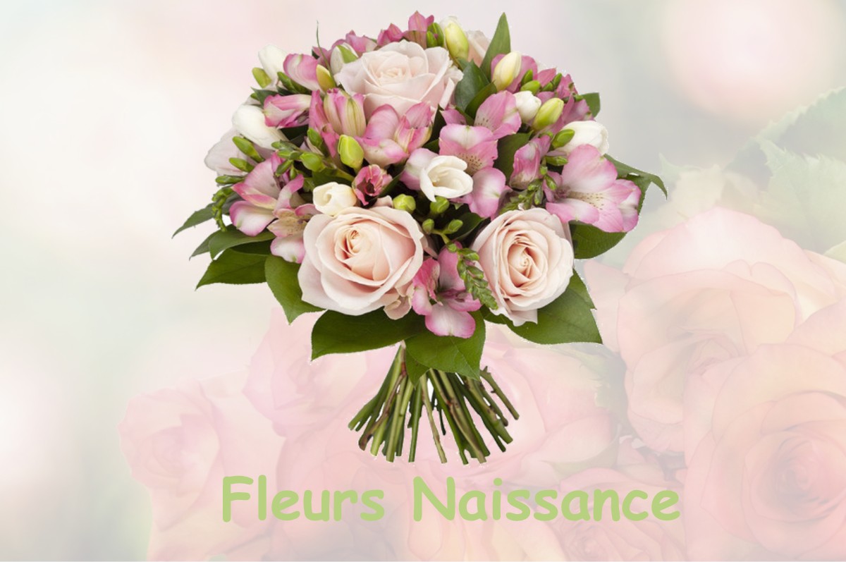 fleurs naissance PISSOS