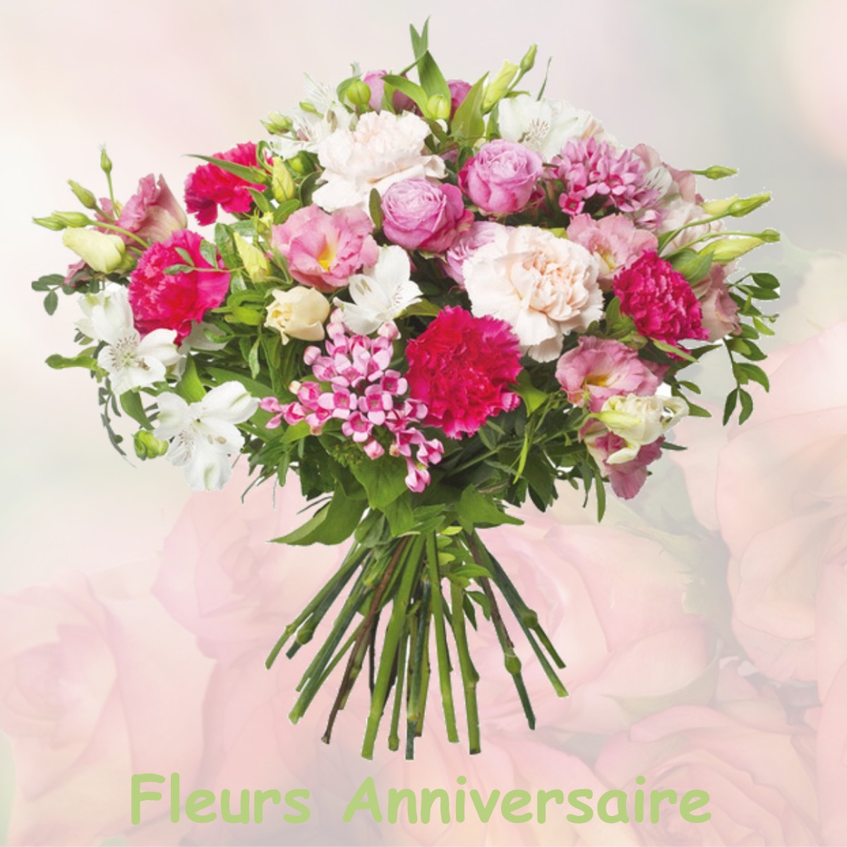 fleurs anniversaire PISSOS