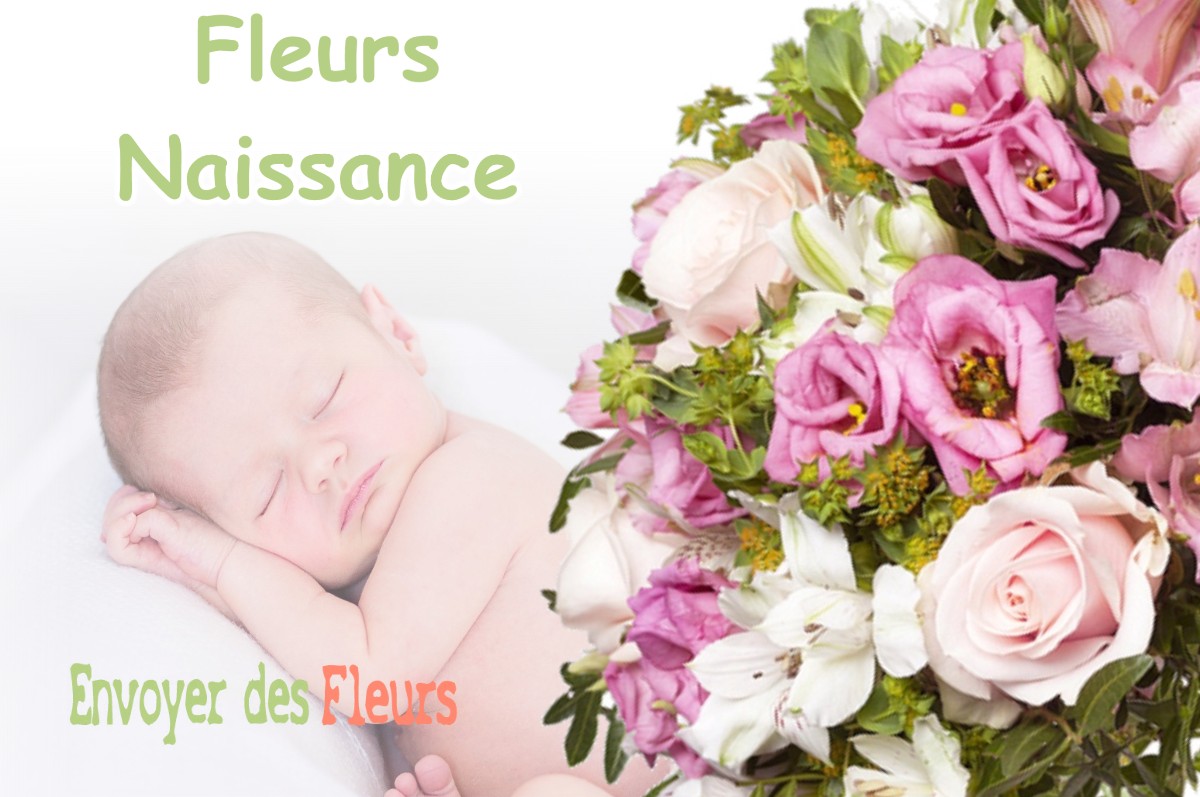 lIVRAISON FLEURS NAISSANCE à PISSOS